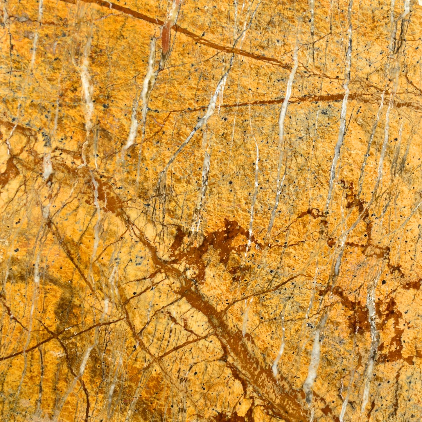 Rain Forest Gold